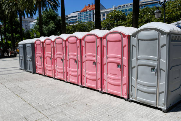 Types of Portable Toilets We Offer in South Alamo, TX